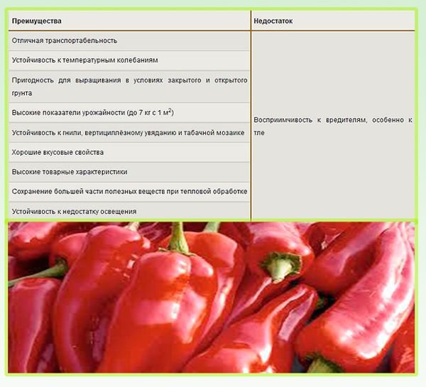 Перец Богатырь Характеристика Фото