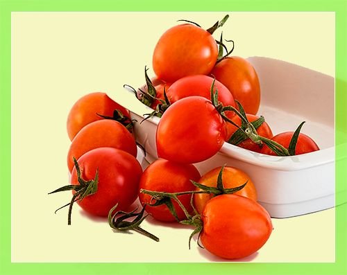Ранні сорти томатів для відкритого грунту і теплиць