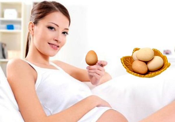 Яйця цесарок: склад, користь і шкоду, як зберігати