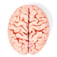 Як підвищити працездатність головного мозку: продукти питаниея й дієта для поліпшення роботи мозку і памяті