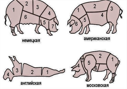 Як правильно розібрати тушу свині в домашніх умовах в картинках технологія і схеми частин