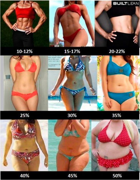 Яка норма жиру в організмі жінки: здоровий відсоток жирової прошарку в тілі жінок