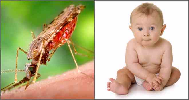 Мазь від укусів комарів у дитини яку краще вибрати?