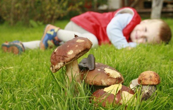 Перша допомога при отруєнні отруйними грибами