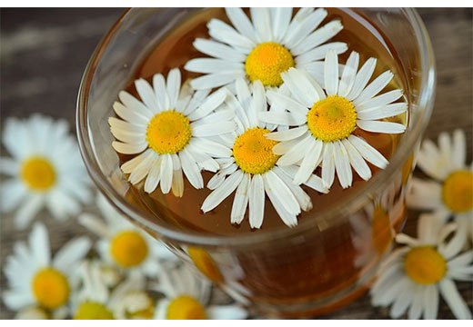 Правила застосування ромашкового чаю при діареї: рецепт, дозування, протипоказання