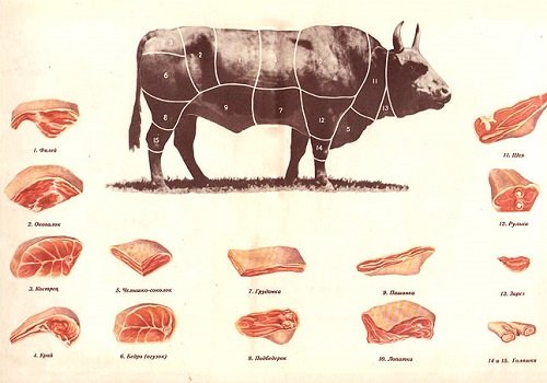 Оброблення туші яловичини схема розбирання туші яловичини покроково з фото