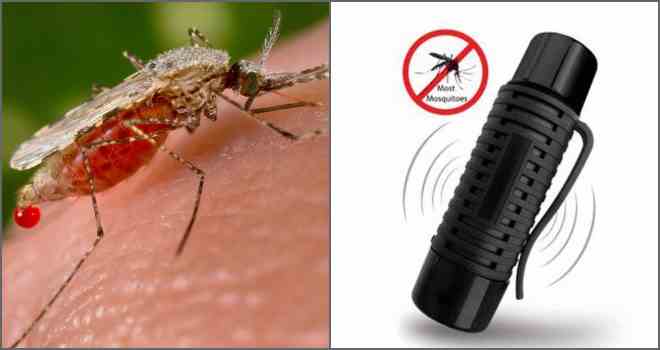 Ультразвуковий відлякувач комарів: міф чи реальність?