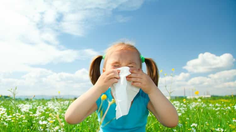 Алергія на цвітіння: симптоми у дітей