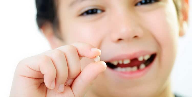 Схема випадання молочних зубів у дітей