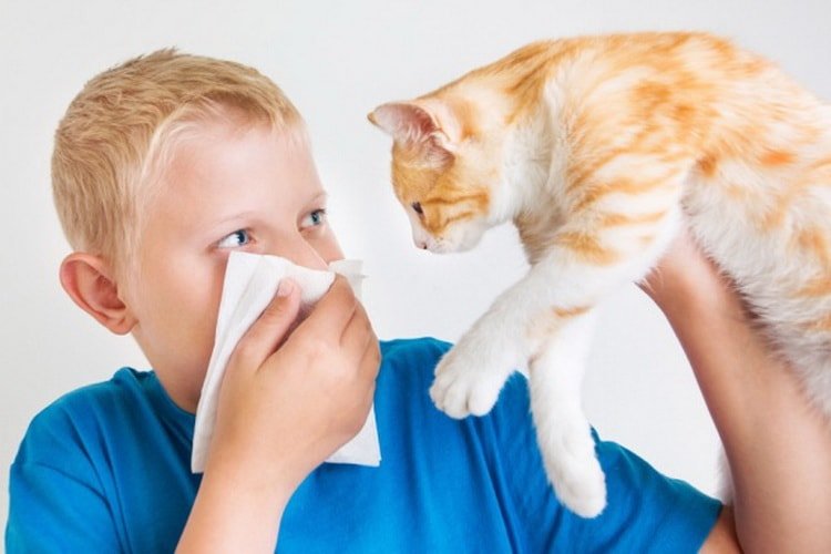 Сухий кашель у дитини: як і чим лікувати