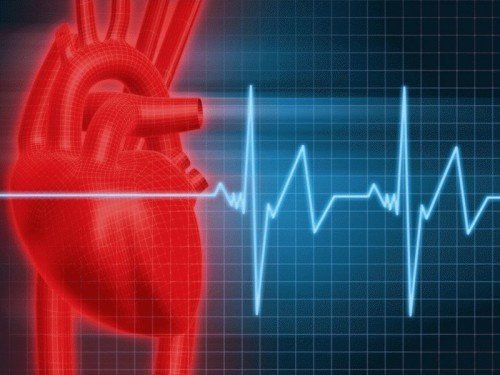 Частота серцевих скорочень – норма у дорослих і дітей