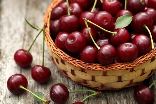 Чим корисні ягоди вишні для здоровя