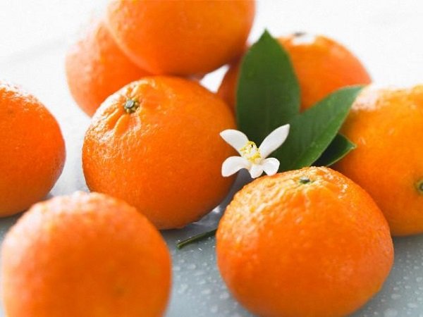 Цитрусовий гібрид мандарина і апельсина — сорти