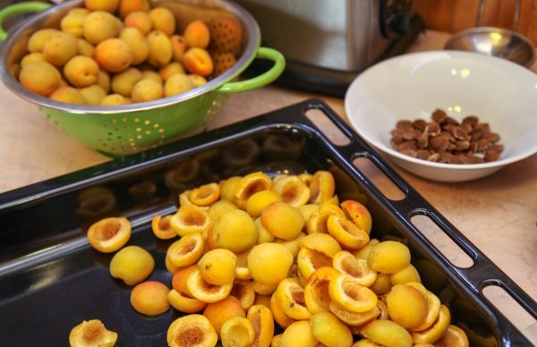 Як приготувати варення з абрикосів без кісточок – прості рецепти