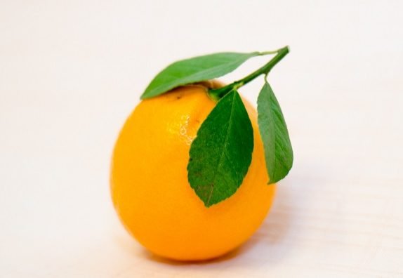 Як виглядає гібрид лимона і апельсина — у чому його користь
