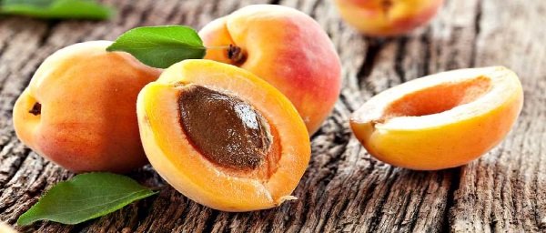 Яка користь від кісточок абрикоса – протипоказання