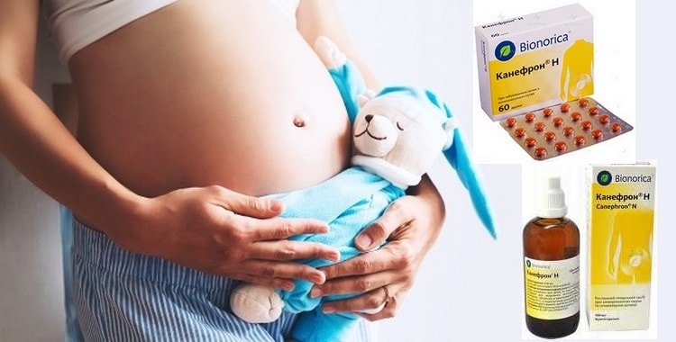 Канефрон при вагітності: відгуки та інструкція