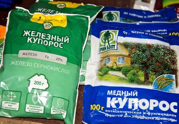 Обробка саду мідним купоросом навесні і восени: як розводити (пропорції) і застосовувати