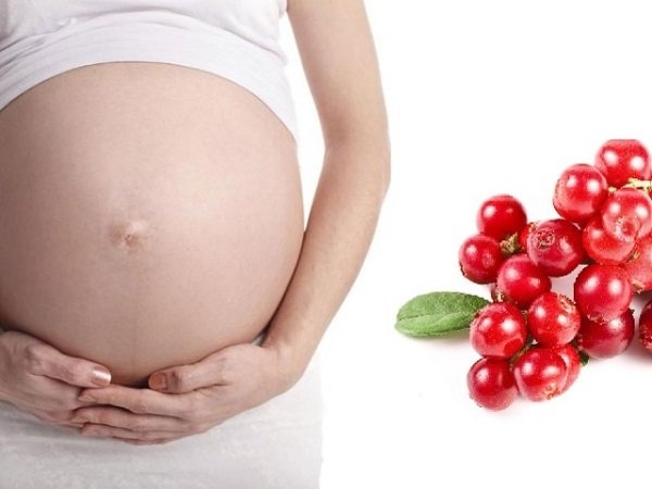 Корисні властивості ягоди журавлини для жінок