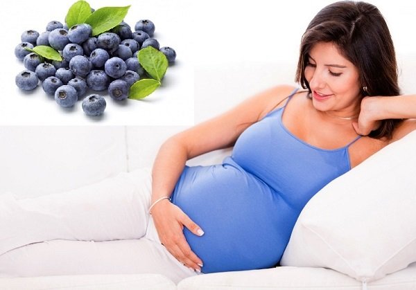 Користь лохини при вагітності