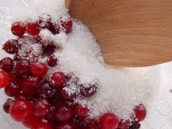 Рецепт без варіння — журавлина протерта з цукром
