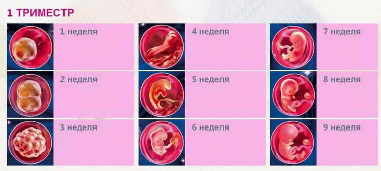 Свічки Гексикон при вагітності: відгуки та інструкція