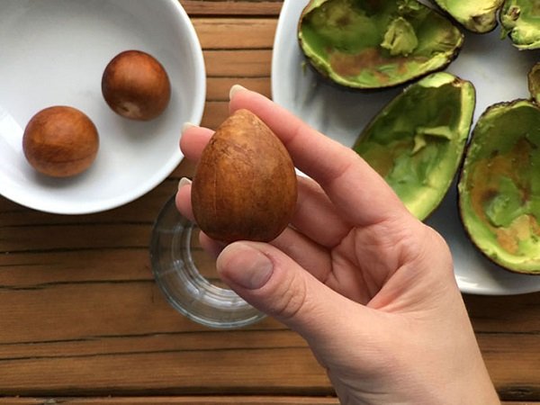 Вирощуємо авокадо з кісточки в домашніх умовах