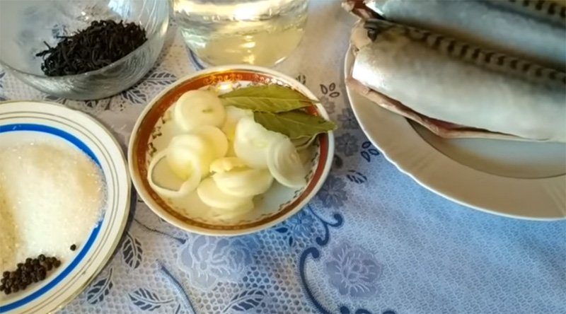 Скумбрія солона — 7 дуже смачних рецептів в домашніх умовах