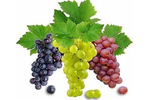 Фунгіциди для винограду: опис і застосування фунгіцидів