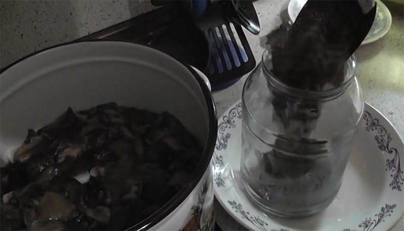 Опеньки мариновані — рецепти приготування на зиму