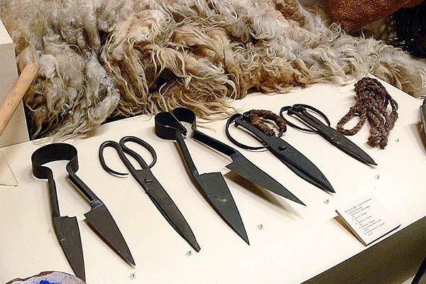 Ножиці для стрижки овець та їх види, особливості ручної стрижки