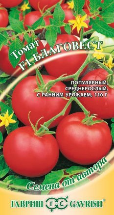 Кращі сорти томатів для теплиці: найбільш врожайні і солодкі, низькорослі і ранні