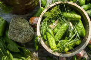 Хрусткі малосольні огірки: найкращі рецепти і фото