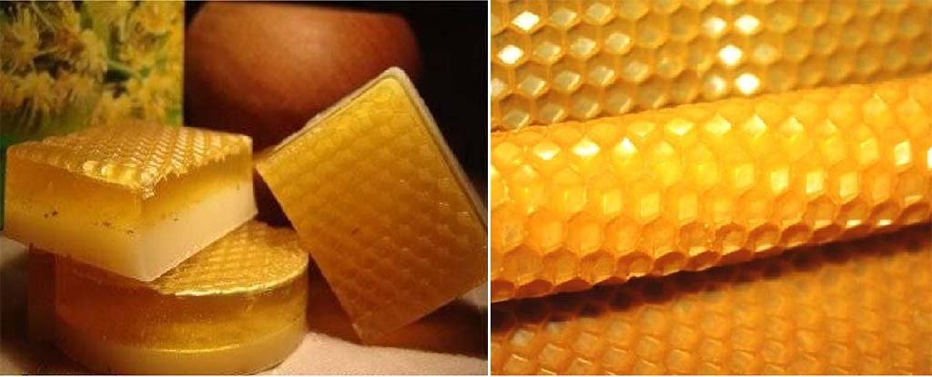Вощина для бджіл: що це, як зробити вощину своїми руками