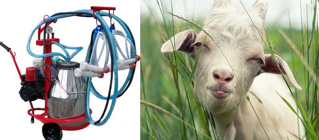 Доїльний апарат для корів: Доюшка, Білка, Корівка