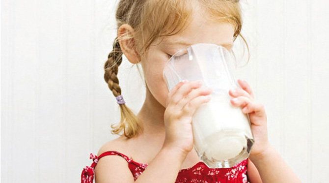 Козяче молоко корисні властивості і протипоказання