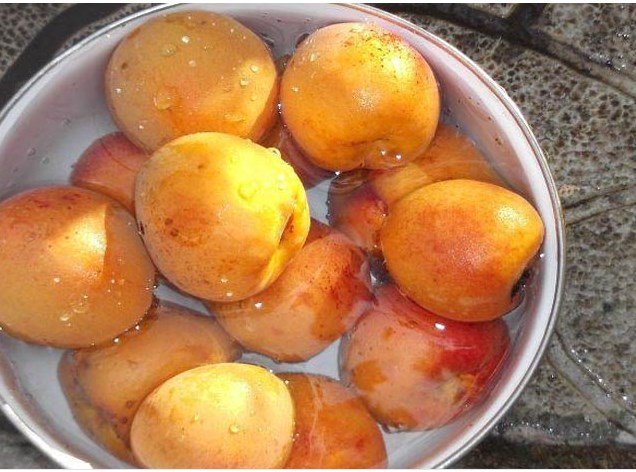 Варення з абрикосів – 7 рецептів смачного густого варення без кісточок