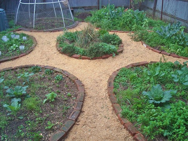 Як використовувати тирсу в саду і городі мульчування, відео