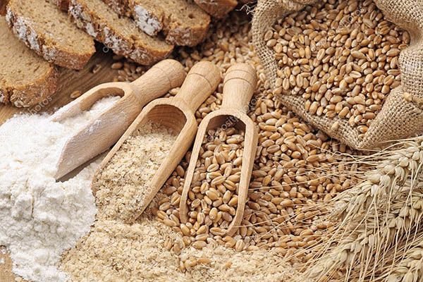 Пшеничні висівки: що це, користь та шкоду, як брати, відгуки