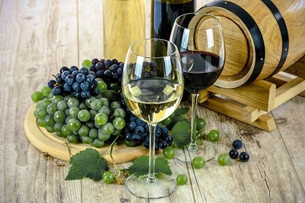 Винні сорти винограду: найкращі сорти з описом і фото