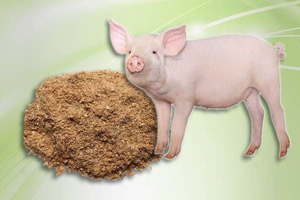 Кормові дріжджі: склад, види, для ВРХ, свиней, курей