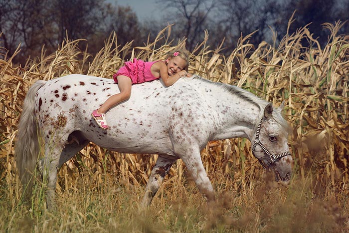 Алтайська і новоалтайская породи коней