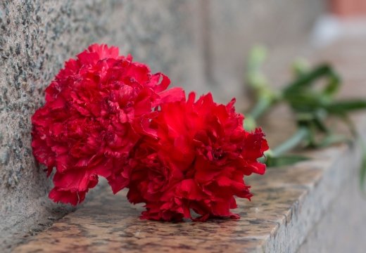 Що роблять на 40 днів після смерті: поминання на кладовищі