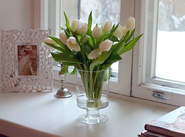 Як зберегти букет тюльпанів у вазі в домашніх умовах: правила догляду та зберігання