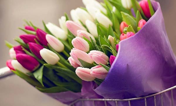 Як зробити гарний букет з тюльпанів на 8 березня: оформити і упакувати своїми руками