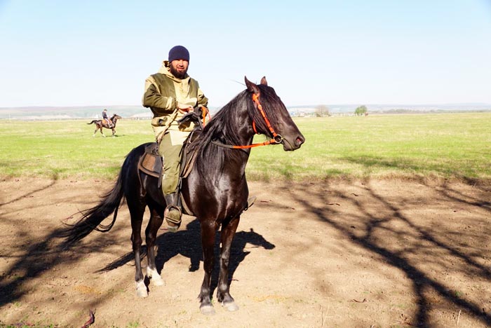 Карачаевская порода коней: фото та опис