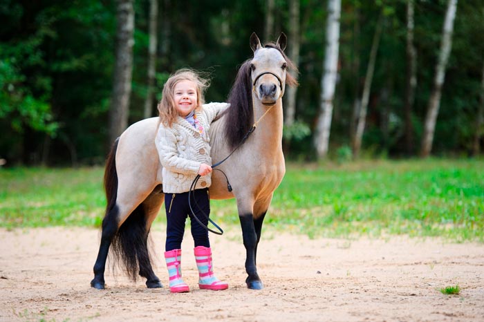 Міні кінь: найменші і карликові коні