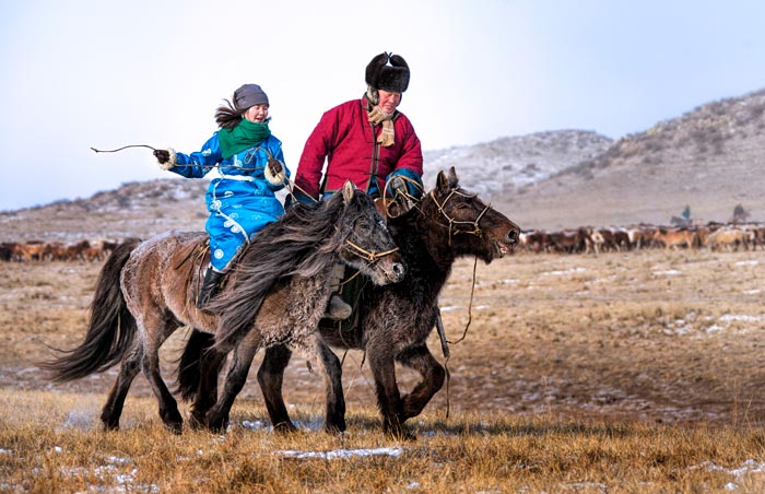 Монгольська порода коней