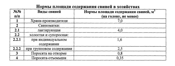 Содержание свиней в личном хозяйстве