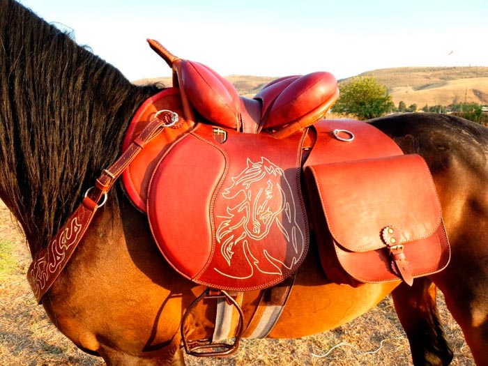 Сідло для коня — дамське, кавалерійське, выездковое: будову, як підібрати